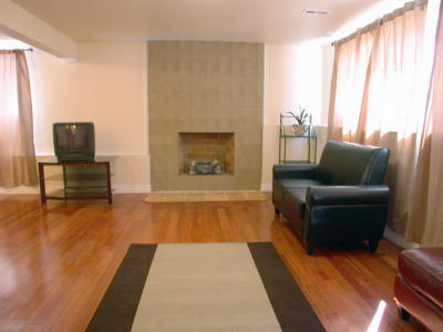 Lower level fireplace